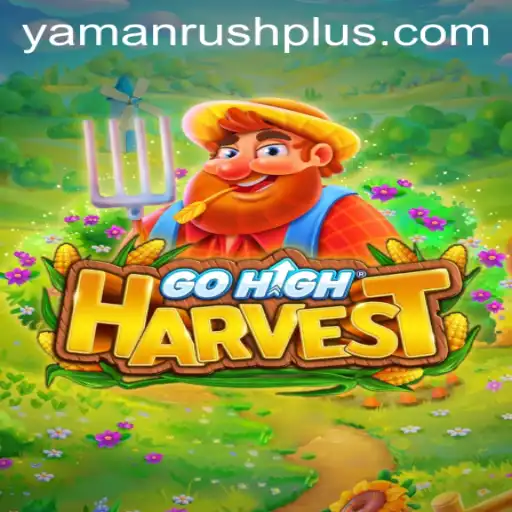 GoHighHarvest: Exploring the Thrilling World of YamanRush
